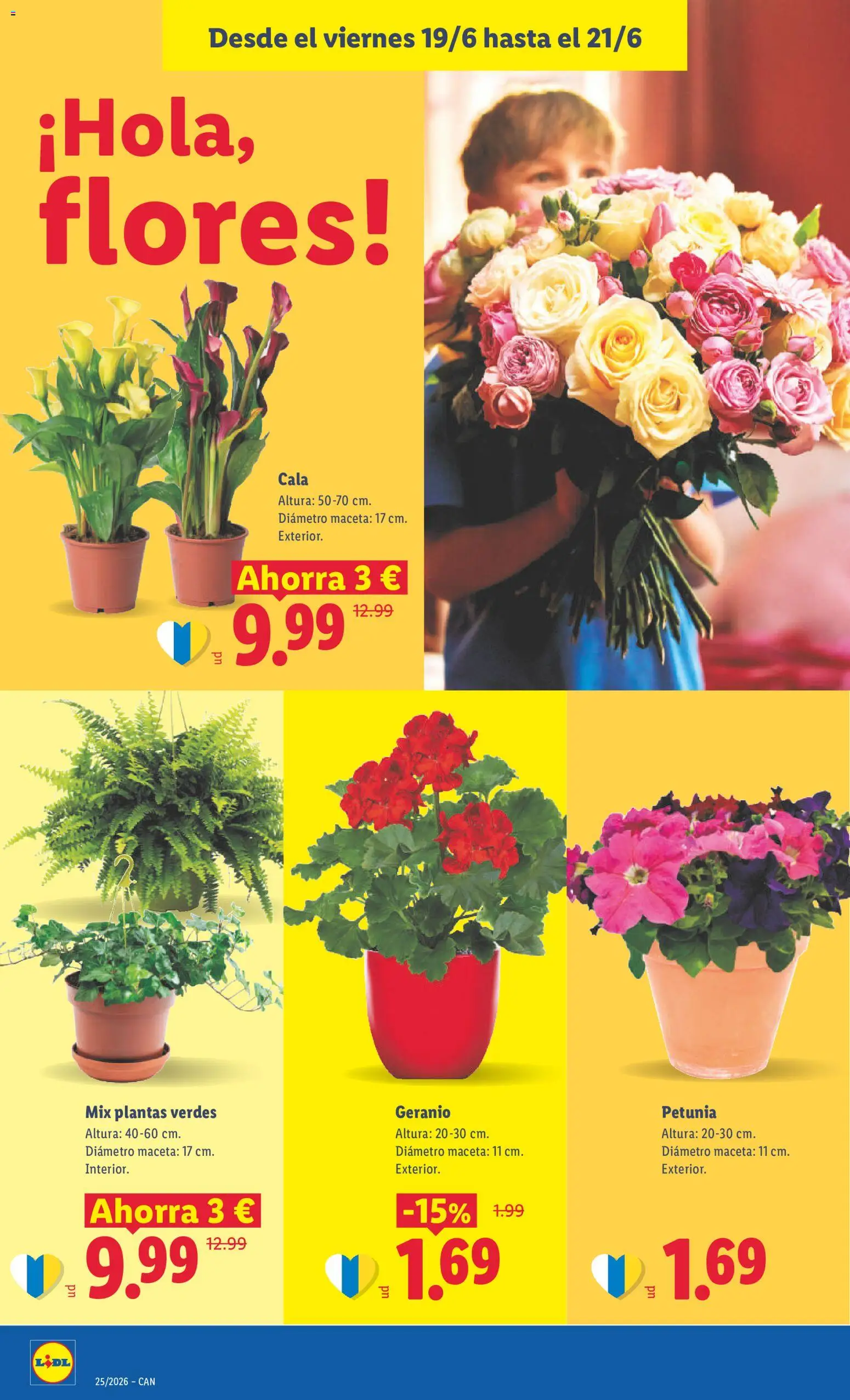 Lidl folleto Canarias │ válido desde el 15.06.2026 | Página: 64 | Productos: Maceta