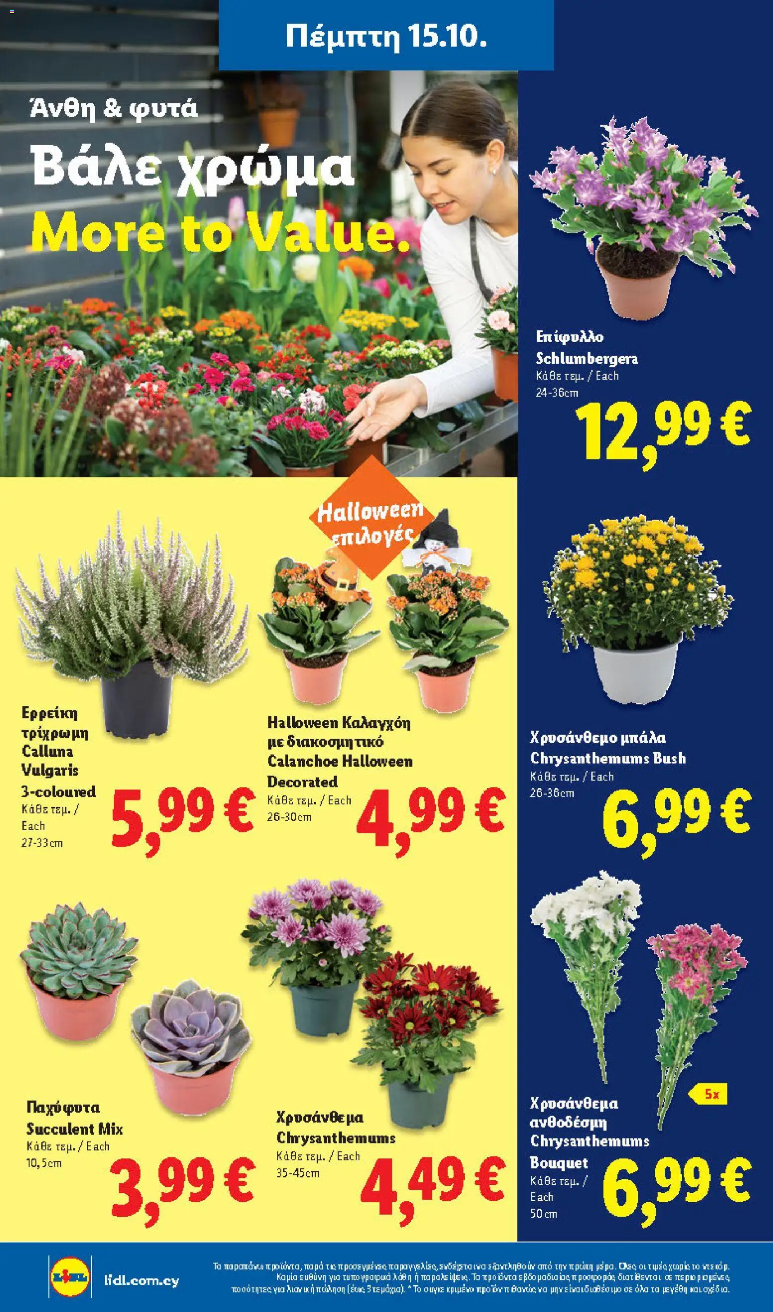 Lidl φυλλαδιο – σε ισχύ από 15/10/2026 | Σελίδα: 52