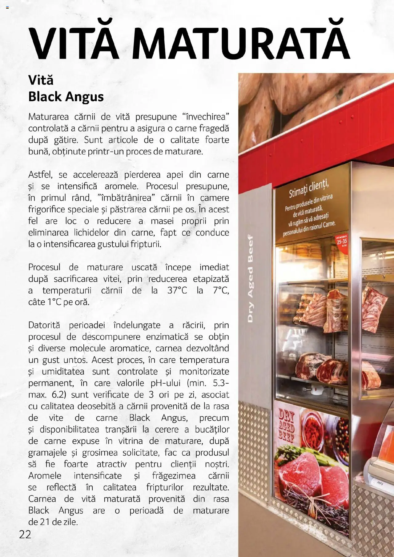 Noul catalog Selgros – valabil de la 27.04.2023 | Pagină: 22 | Produse: Vitrină