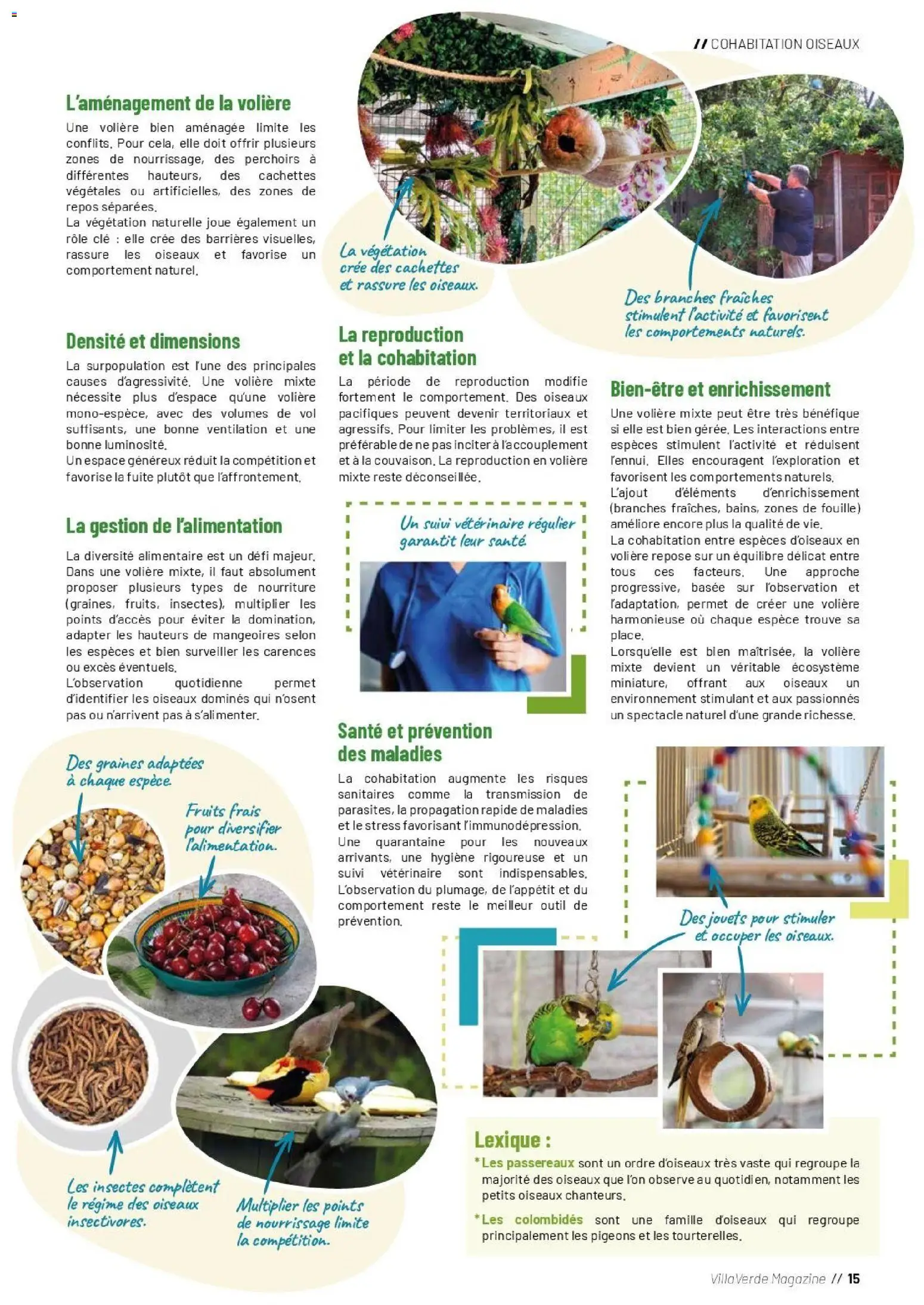 {H1} | Page: 15 | Produits: Clé, Jouets, Magazine
