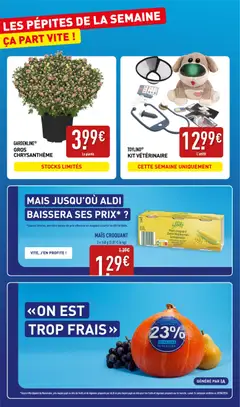 Aldi - Prévisualisation de Aldi catalogue valide à partir de 27/10/2026 | Page: 2 | Produits: Mais, Chrysanthème, Les fruits et légumes, Gros chrysantheme