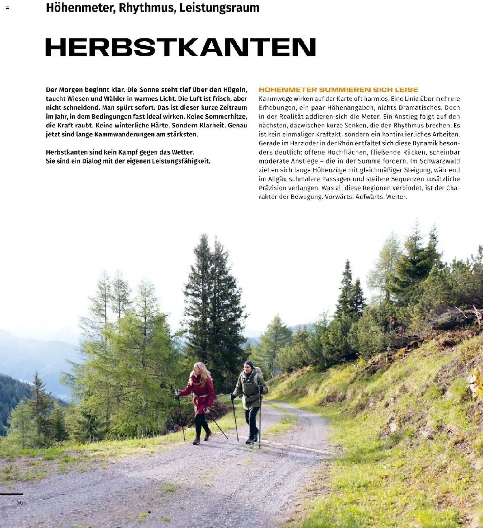 Sport2000 Prospekt – gültig ab 03.09.2026 | Seite: 50