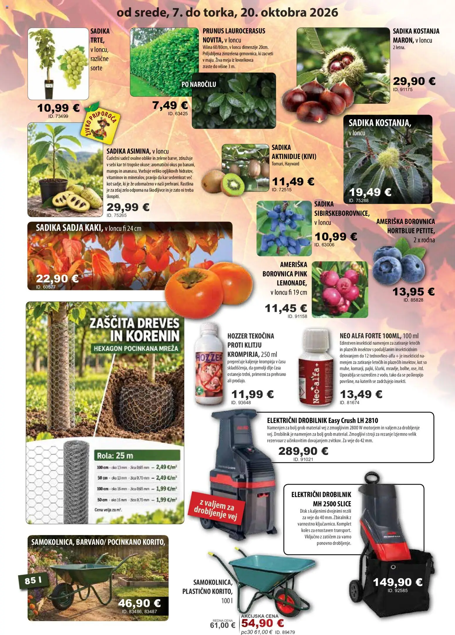 Novi Živex katalog ponudbe – veljaven od 07.10.2026 | Stran: 3 | Izdelki: Disk, Kivi