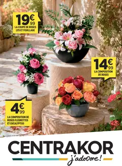 Centrakor - Prévisualisation de Centrakor catalogue valide à partir de 28/09/2026