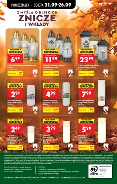 Pogląd oferty "Karma dla kota Whiskas, 1,7/1,9 kg, Karma dla kota Whiskas, 1,7/1,9 kg, różne rodzaje" - ważna od 21.09.2026 | Strona: 107
