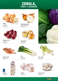 Pogląd oferty "Makro Gazetka - Ultra fresh" - ważna od 01.03.2026 | Strona: 29 | Produkty: Czosnek, Cebula szalotka, Cebula, Szalotka