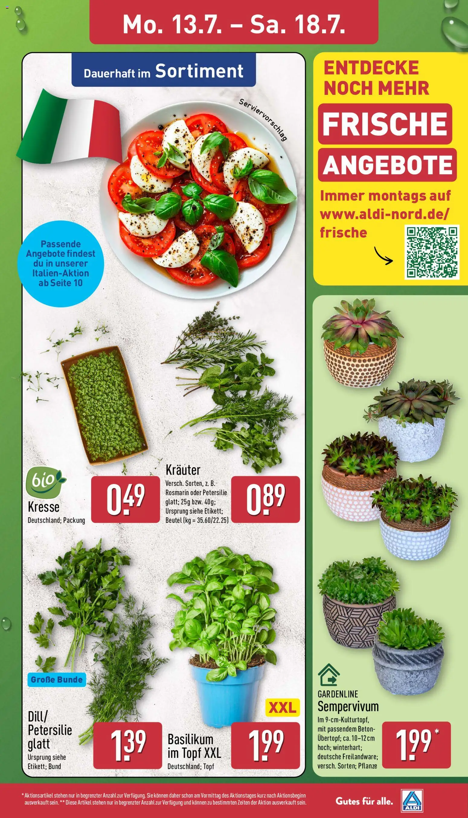 Aldi Prospekt – gültig ab 13.07.2026 | Seite: 3 | Produkte: Petersilie