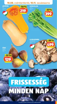 SÜTŐTÖK, /kg, 219 Ft/kg, 329531 - amely érvényes a következő dátumtól: 2026.10.08. | Oldal: 7