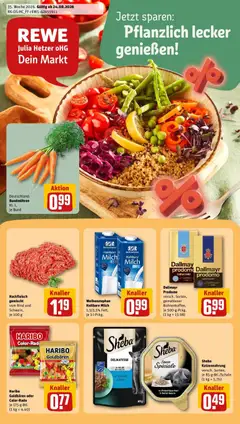 Rewe Prospekt Leuna ab 24.08.2026 gültig