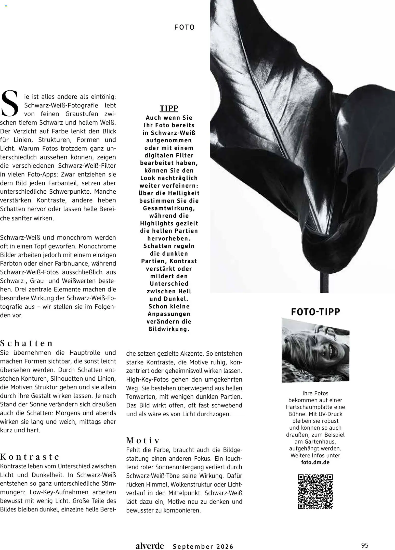 dm drogerie Prospekt – gültig ab 01.09.2026 | Seite: 95 | Produkte: Bilder