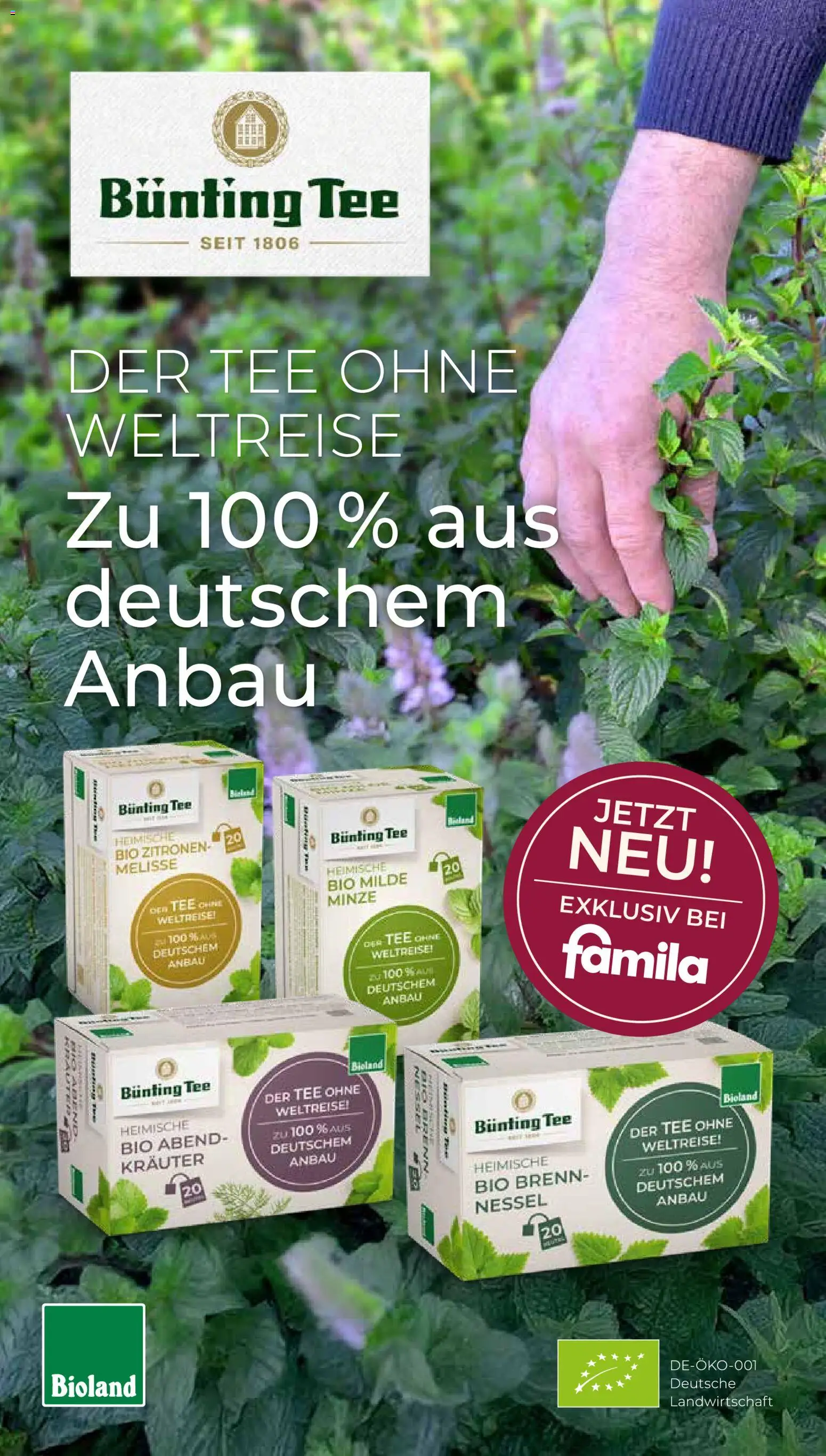 Famila Nordwest Prospekt – gültig ab 10.08.2026 | Seite: 24 | Produkte: Tee, Zitronen
