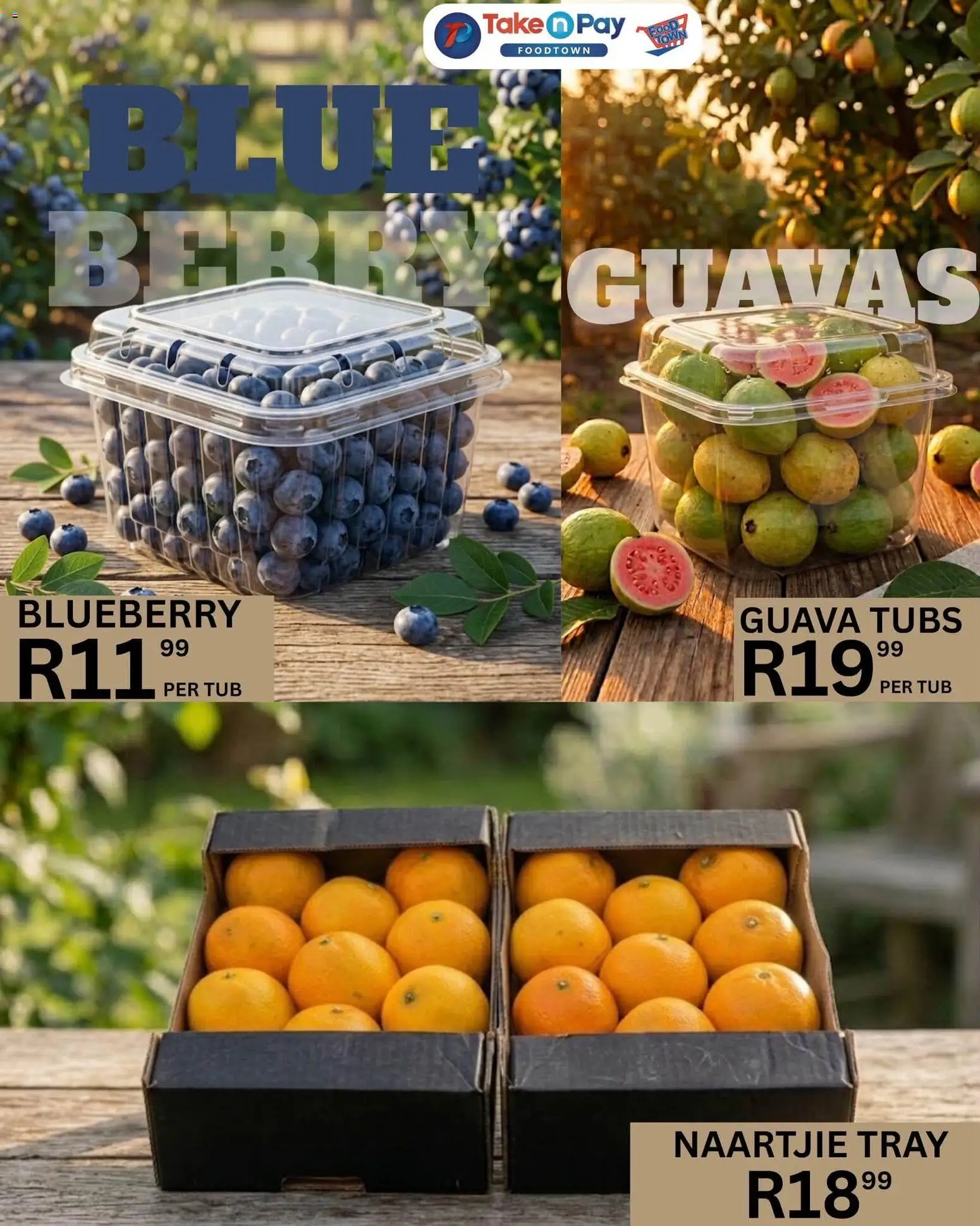 New Take n Pay catalogue – valid from 02/08/2026 | Page: 12 | Products: Tray