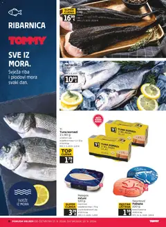 Tommy Katalog - Pregled kataloga iz trgovine Tommy, vrijedi od 17.09.2026 | Stranica: 8