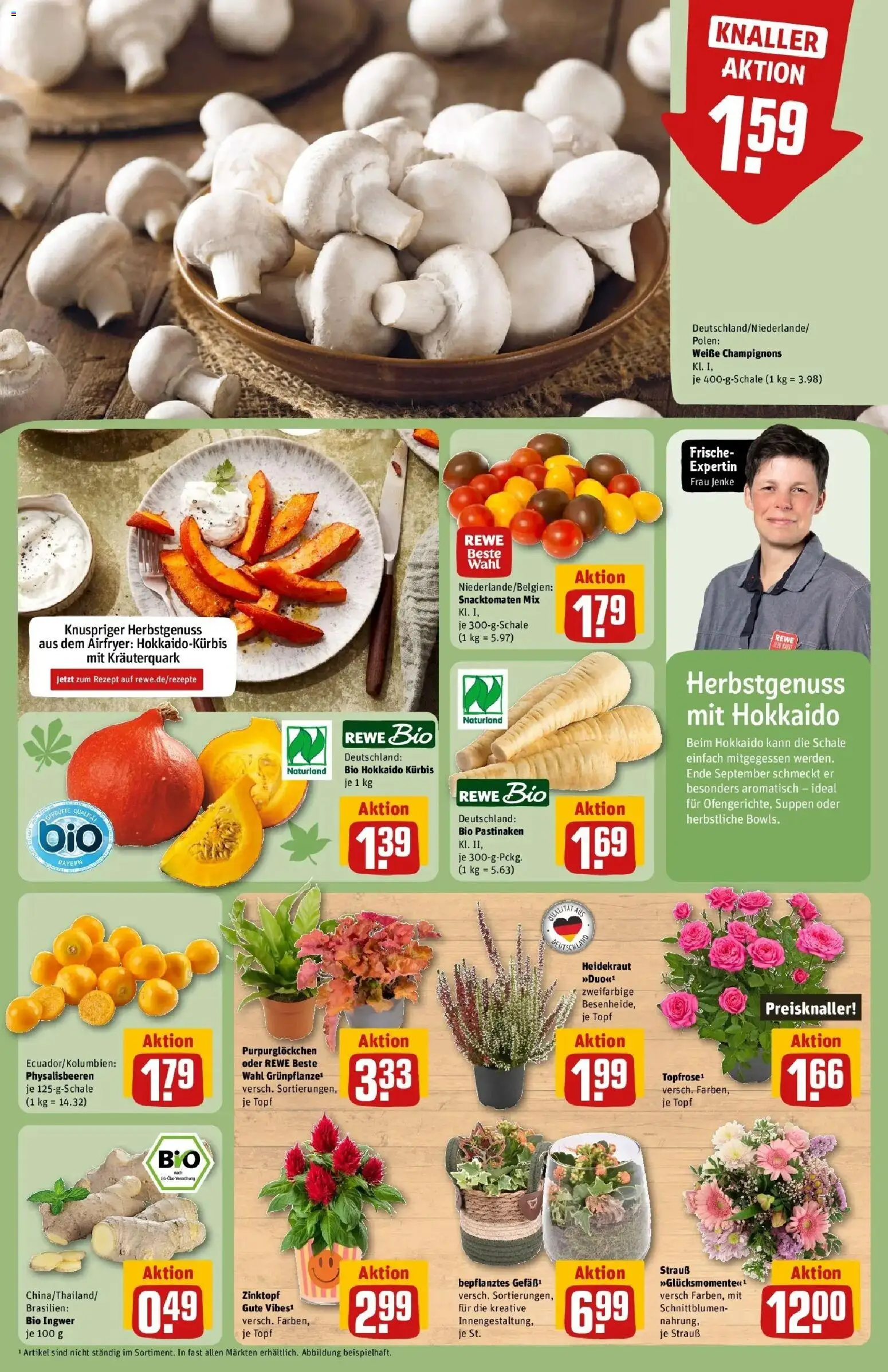 REWE Prospekt ab 28.09.2026 zum Blättern » Angebote | Seite: 13 | Produkte: Champignons, Kürbis