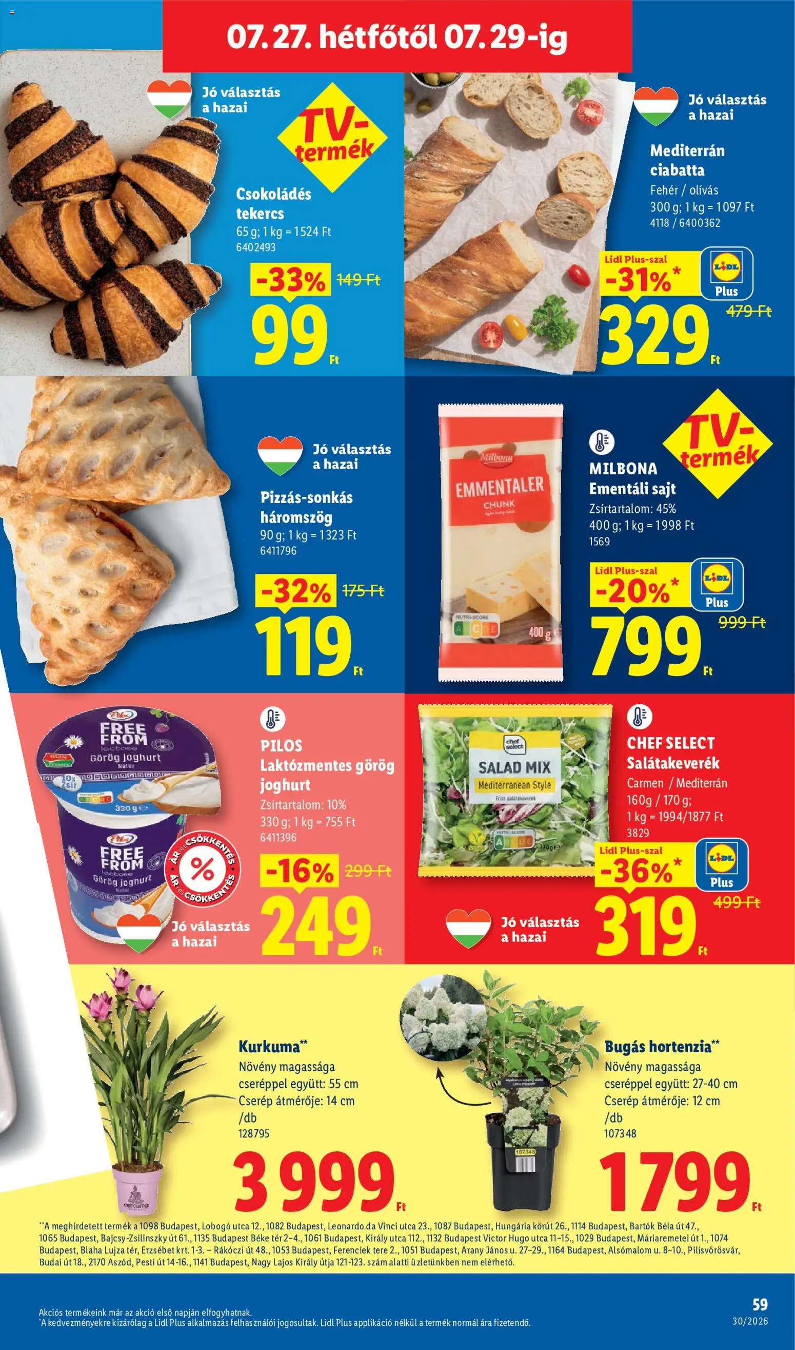 Lidl akciós ujság - amely érvényes a következő dátumtól: 2026.07.23. | Oldal: 59 | Termékek: Hortenzia, Ementáli sajt, Kurkuma, Joghurt