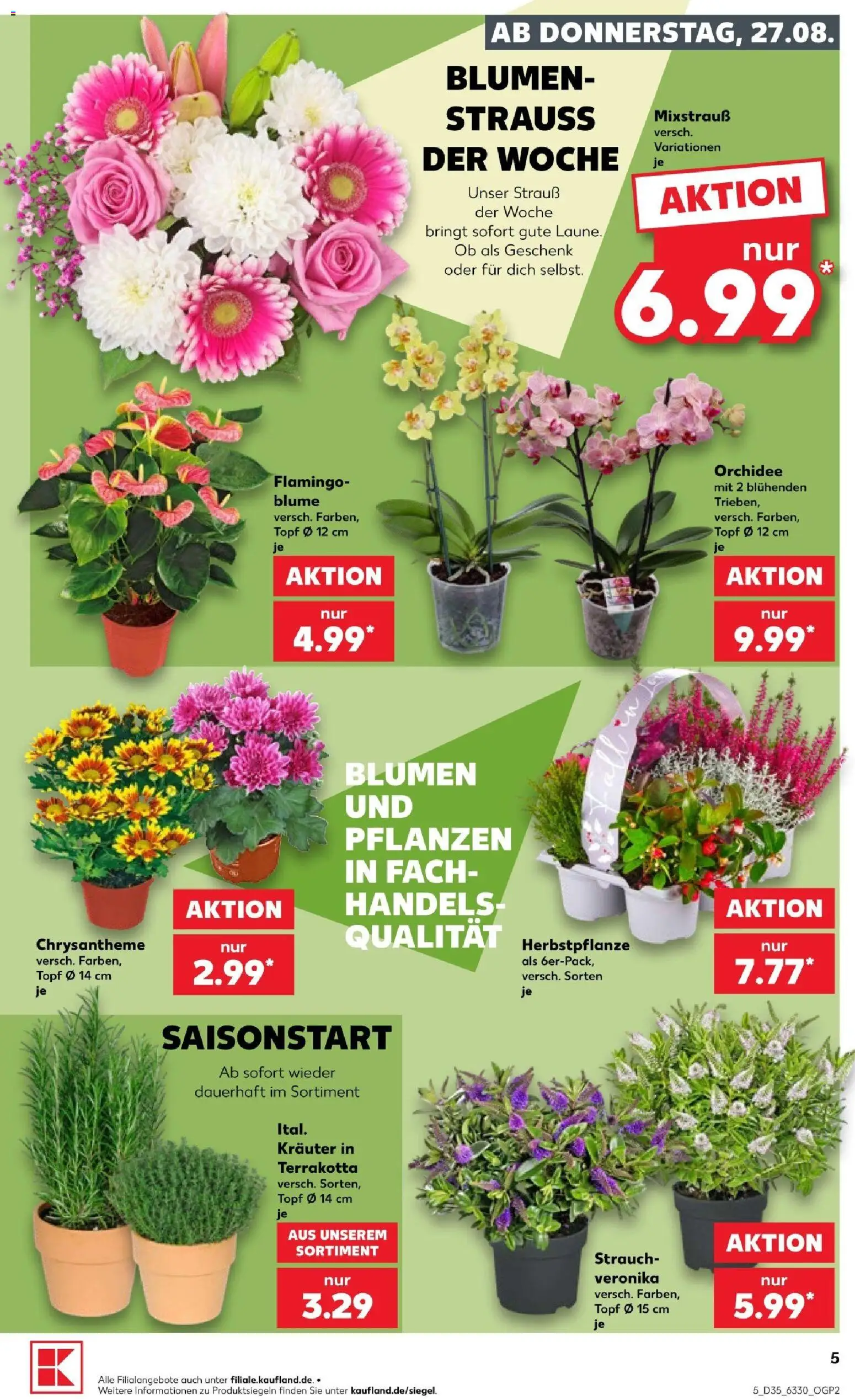 Kaufland Prospekt Kiel – gültig ab 27.08.2026 | Seite: 5 | Produkte: Orchidee, Blumen