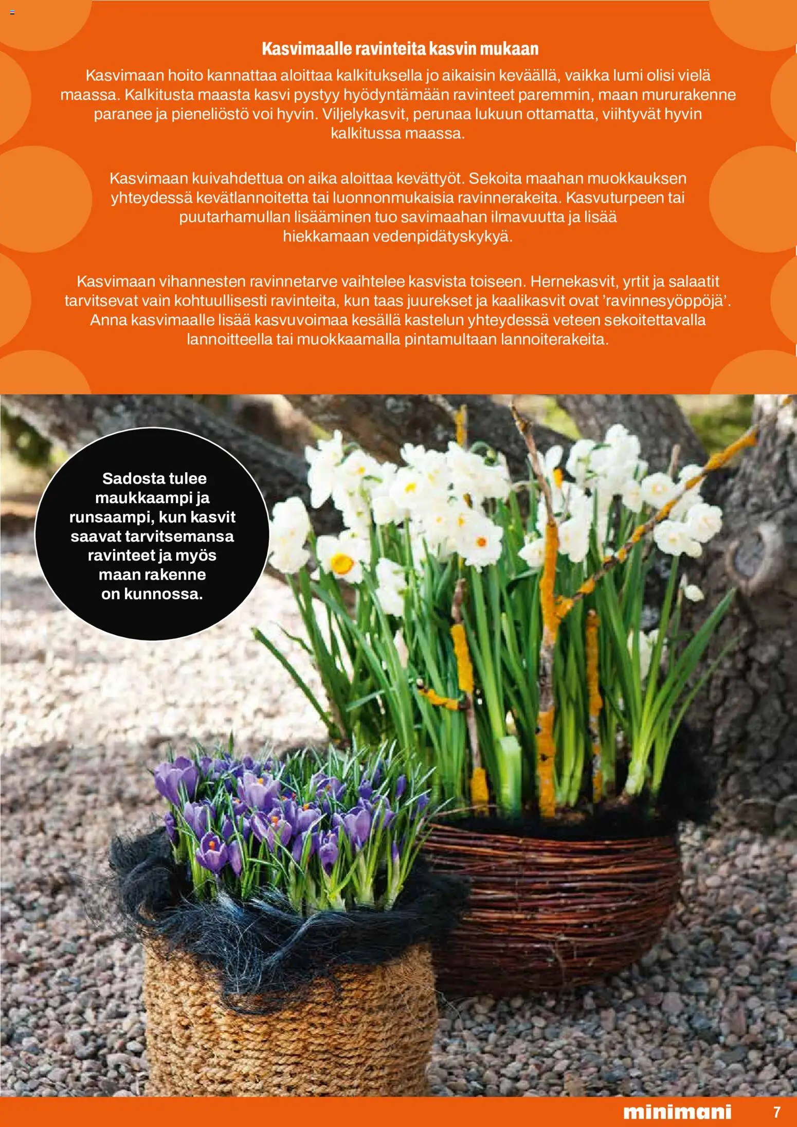 Minimani kuvasto - GreenCare – voimassa 18.05.2026 alkaen | Sivu: 7 | Tuotteet: Voi