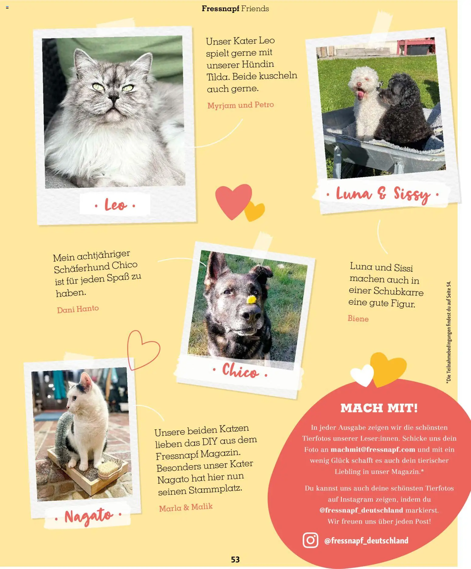 Fressnapf Friends Magazin – gültig ab 01.05.2026 | Seite: 53