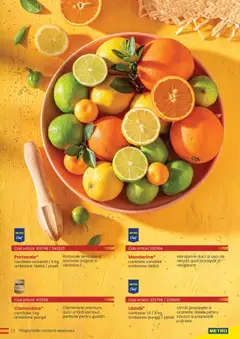 Ofertele Metro valabile de la 30.03.2026 | Pagină: 13
