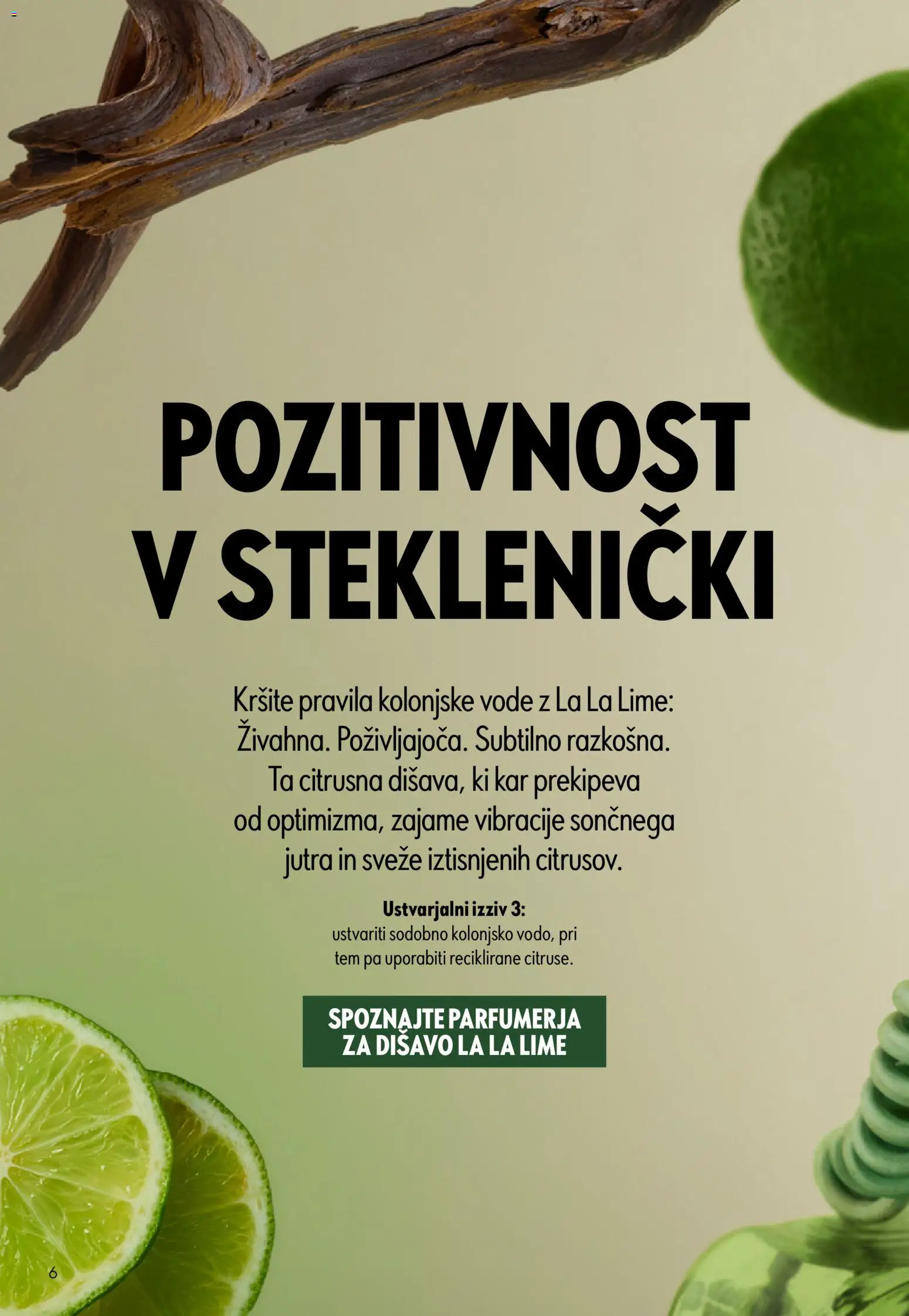 Novi Oriflame katalog ponudbe – veljaven od 05.08.2026 | Stran: 6