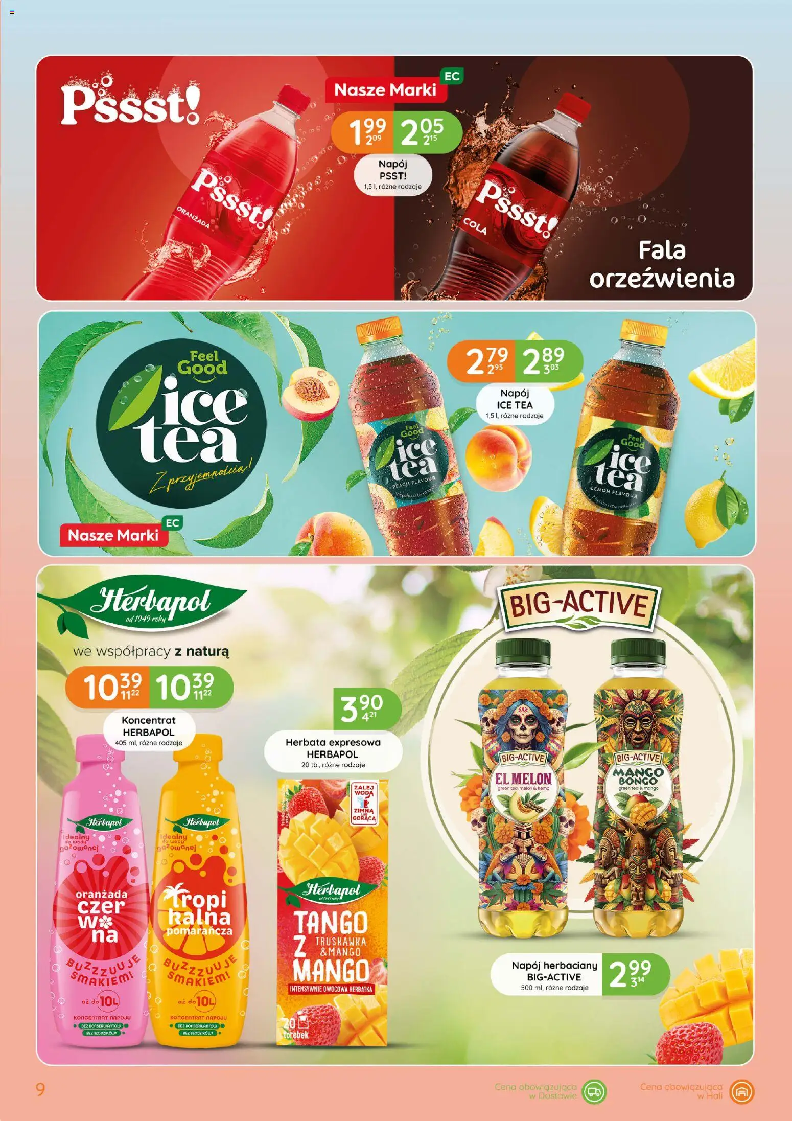 Eurocash gazetka - Letnie Orzeźwienie od 28.05.2026 | Strona: 9 | Produkty: Mango, Ice Tea, Herbata, Woda