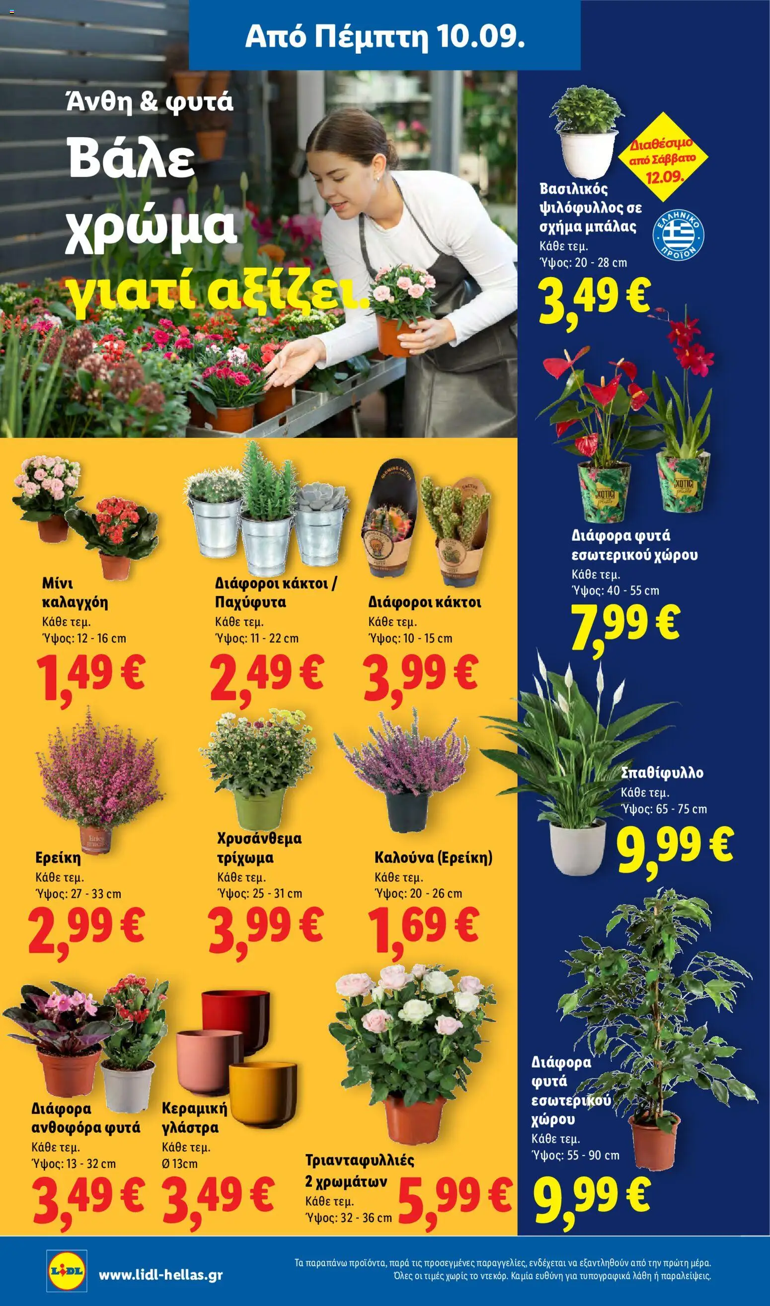 Lidl Φυλλάδιο - σε ισχύ από 10/09/2026 | Σελίδα: 38