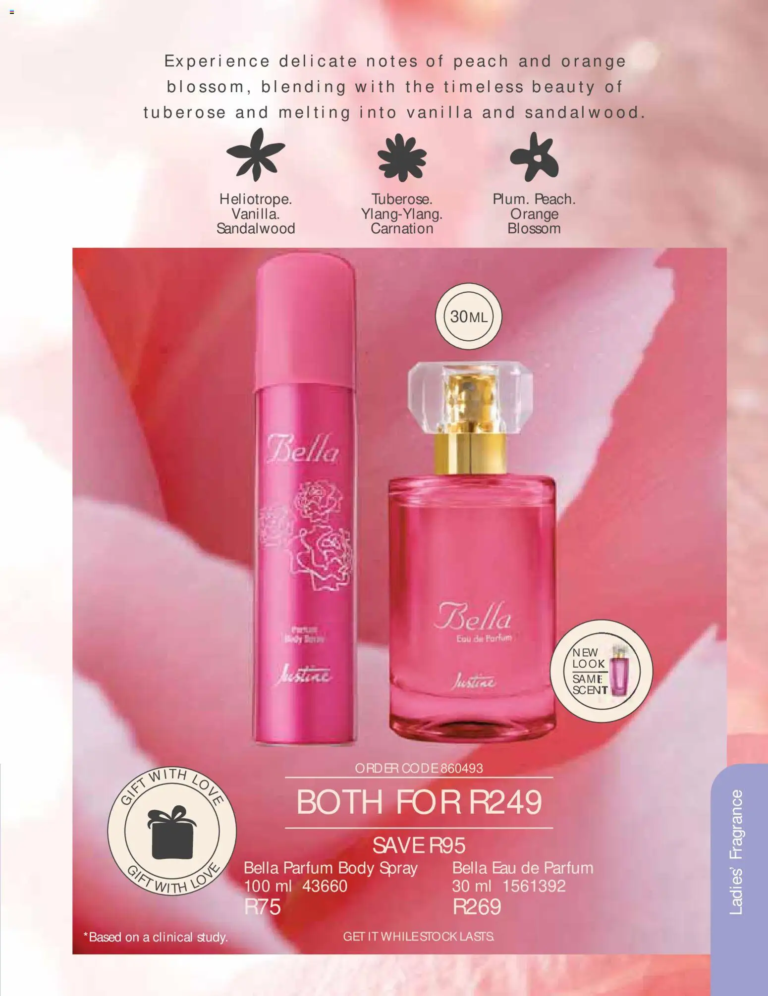 New Justine catalogue – valid from 01/07/2026 | Page: 73