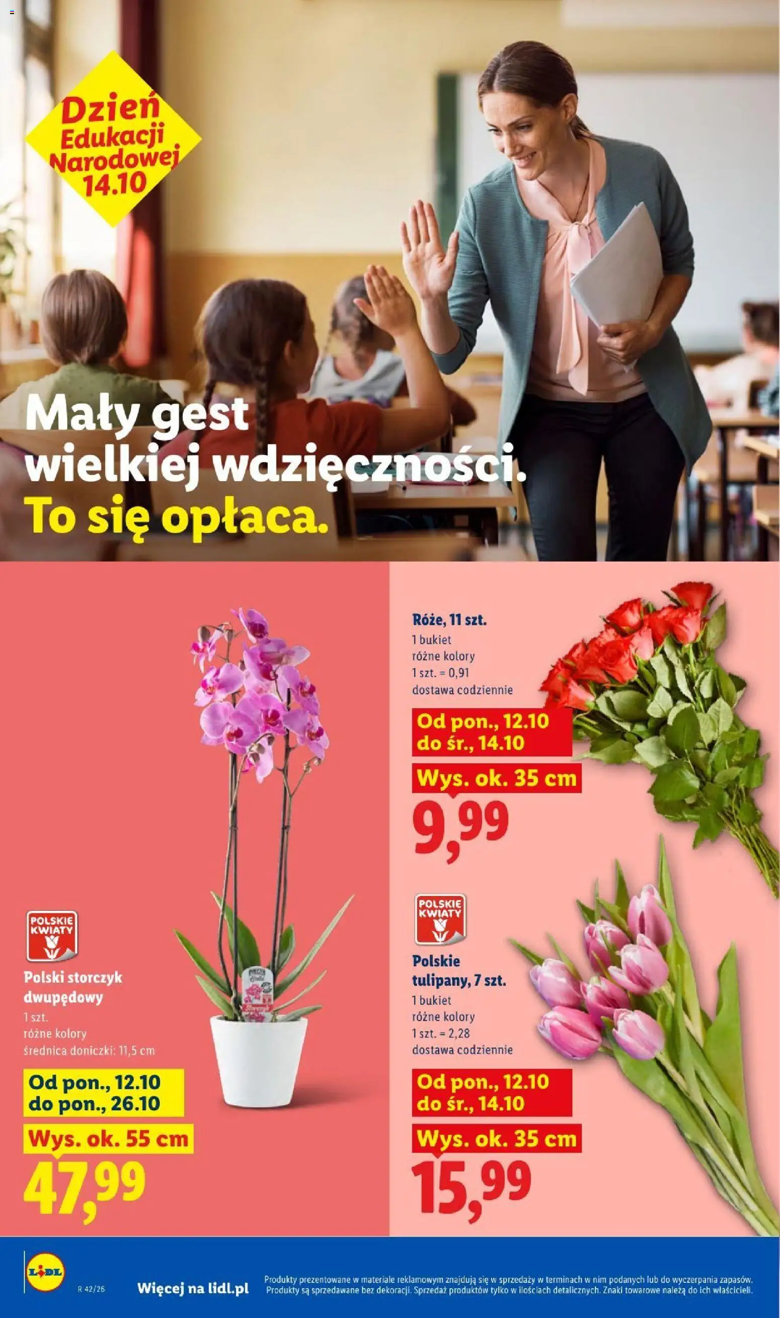 Lidl gazetka od 12.10.2026 | Strona: 8
