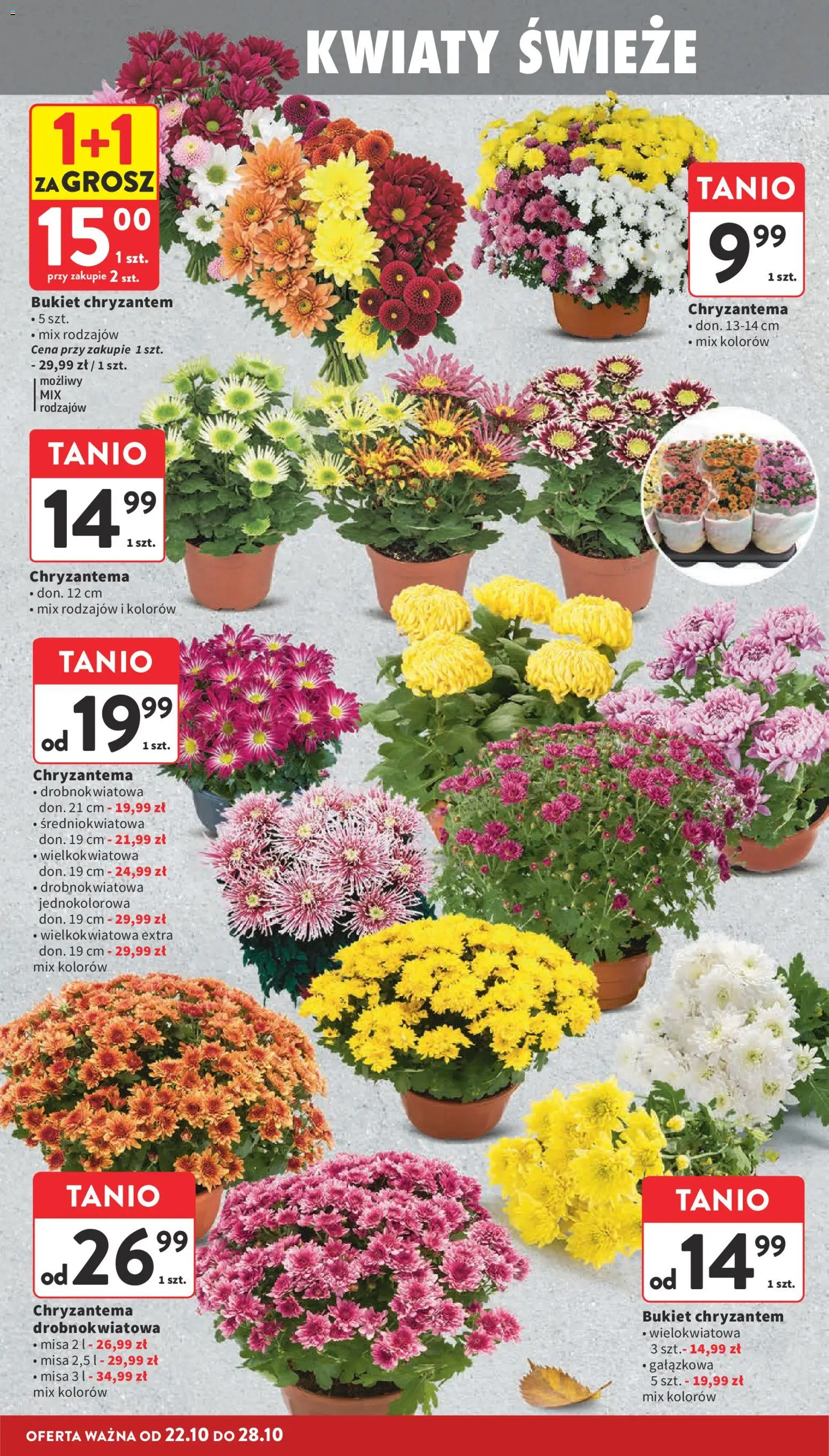 Intermarche gazetka od 22.10.2026 | Strona: 4 | Produkty: Kwiaty