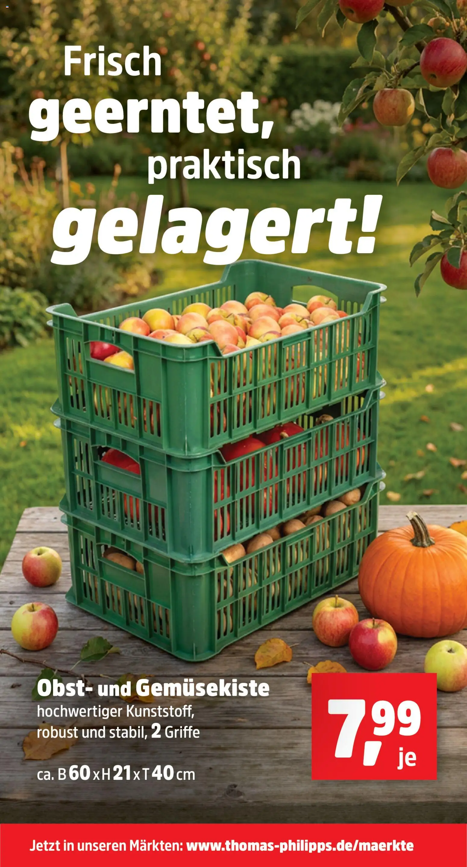Thomas Philipps Prospekt – gültig ab 19.10.2026 | Seite: 17 | Produkte: Obst