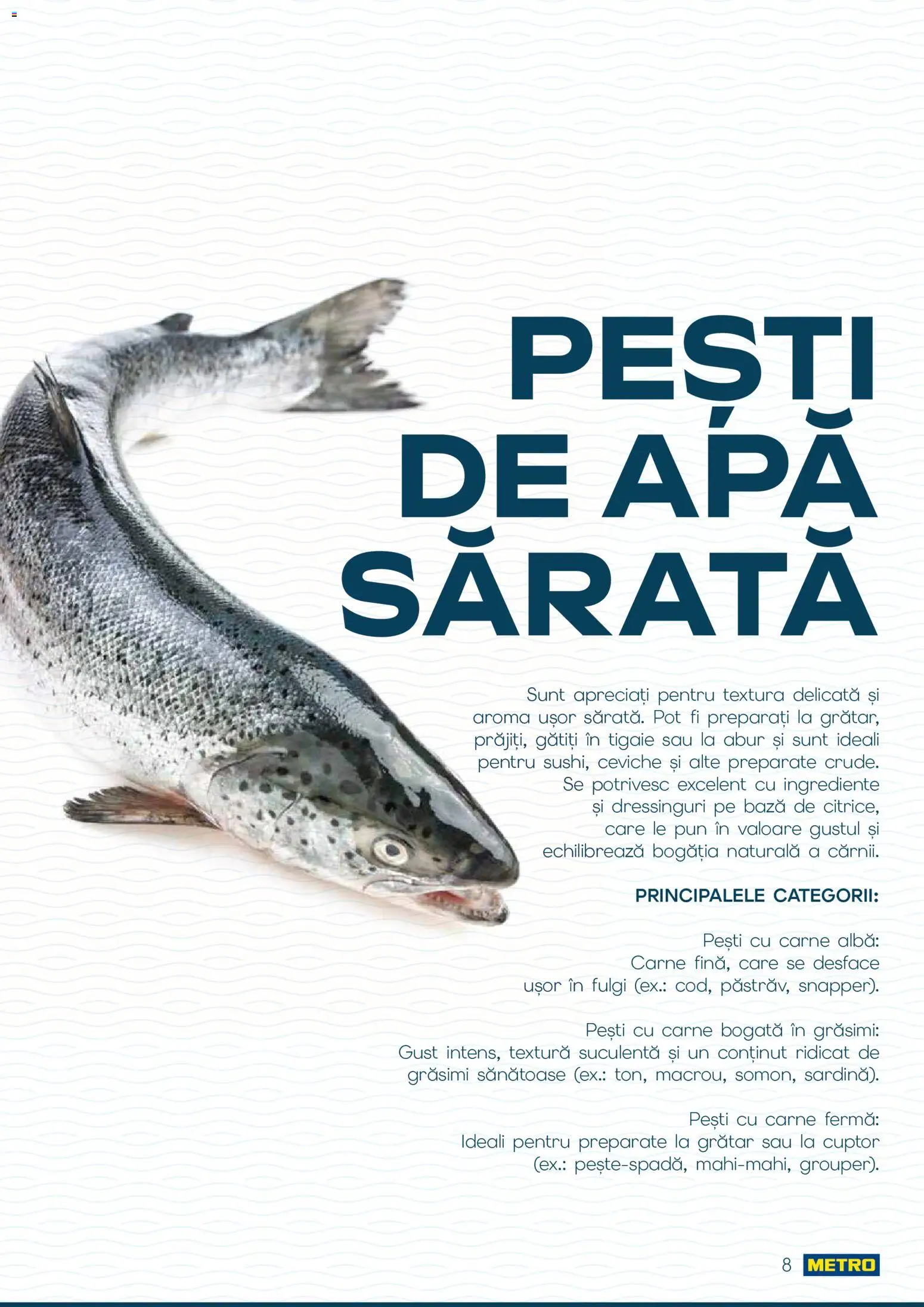 Noul catalog Metro – valabil de la 01.10.2026 | Pagină: 8 | Produse: Alba, Cuptor, Tigaie, Apă