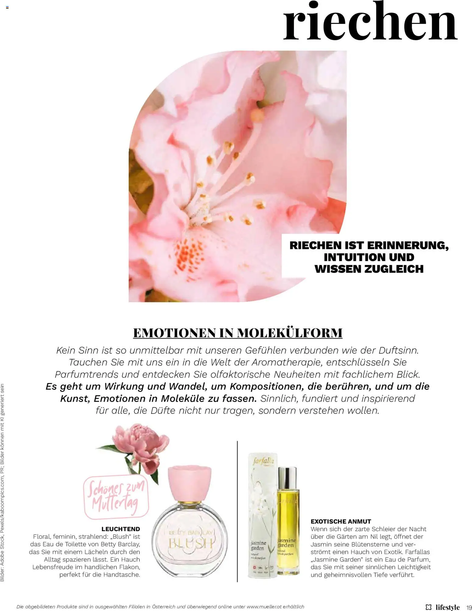 Müller Magazine Lifestyle 3/26 gültig ab 19.05.2026 | Seite: 19