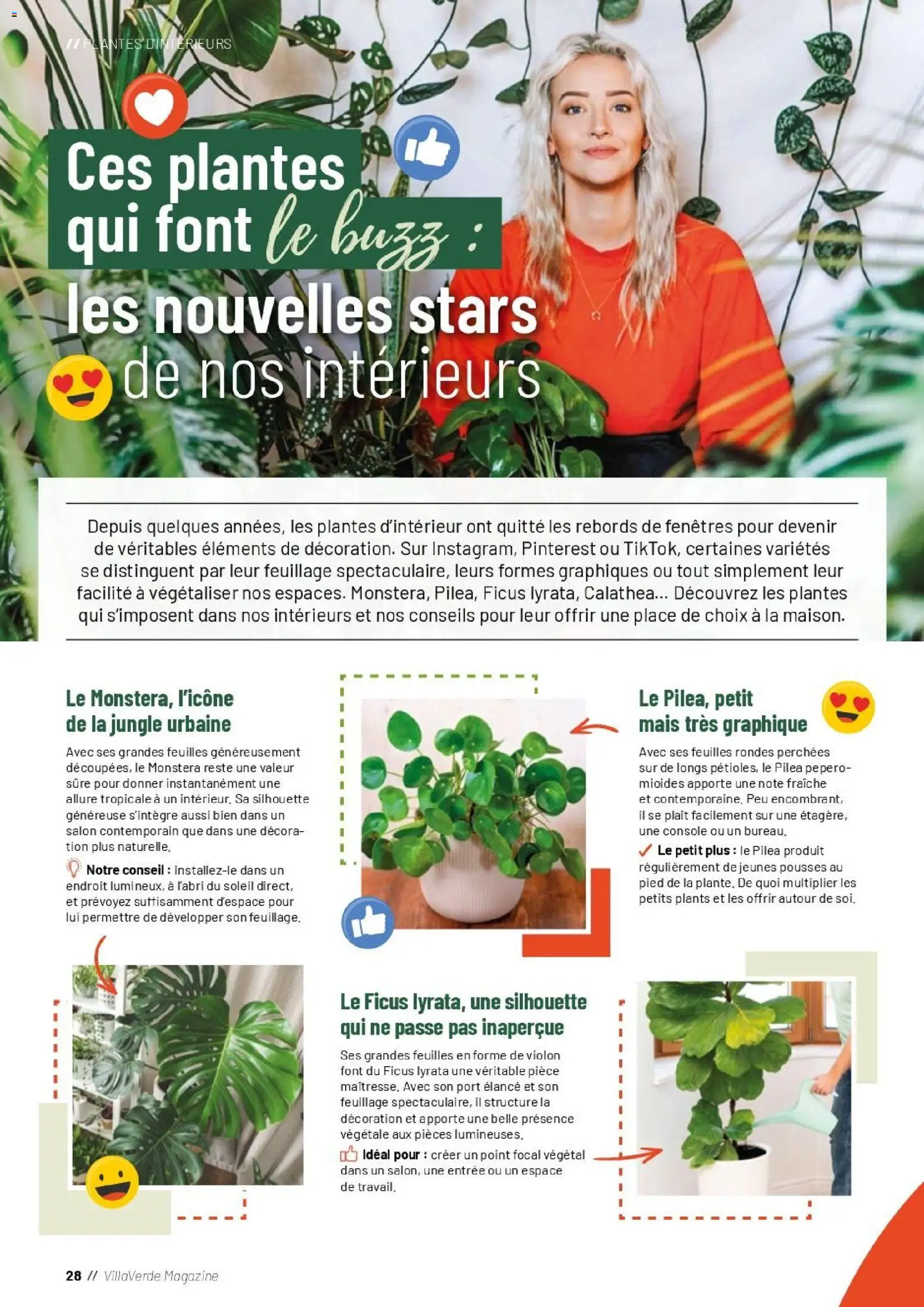 {H1} | Page: 28 | Produits: Plantes, Ficus, Violon, Magazine