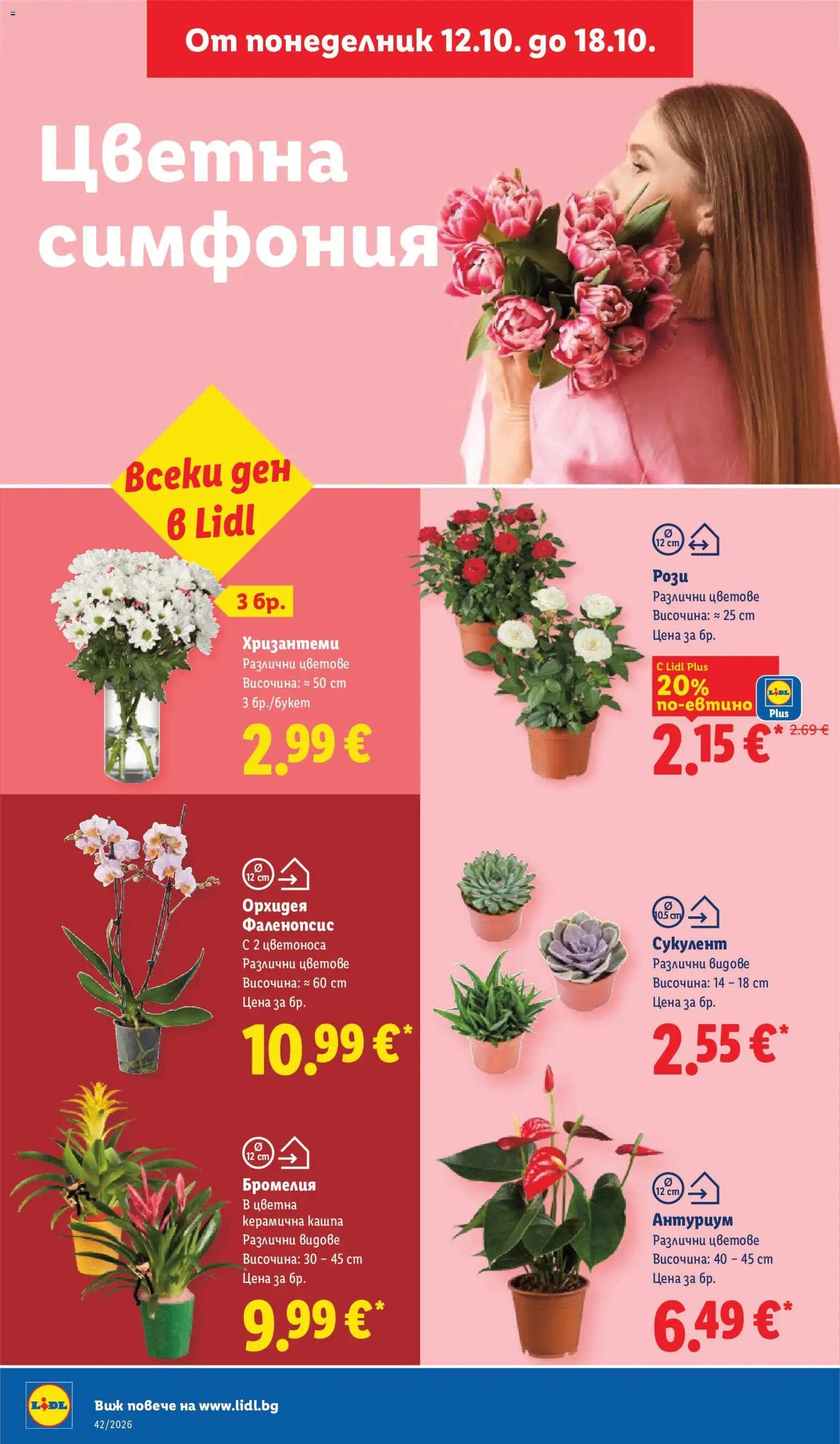 {H1} | Страница: 50 | Продукти: Кашпа, Орхидея