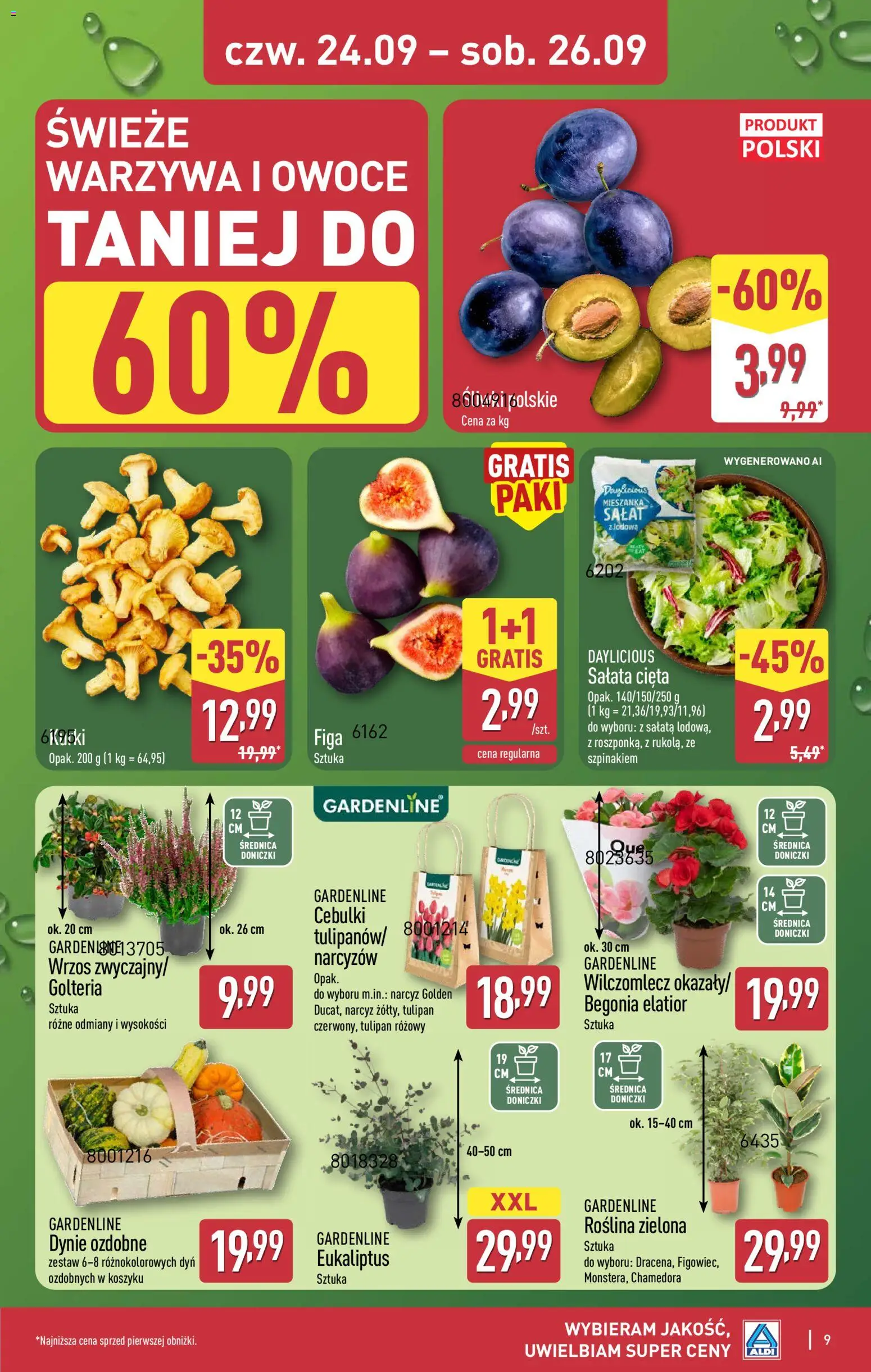 Aldi Polsko leták - Oferta weekendowa od 24.09.2026 | Strana: 9 | Produkty: Salát