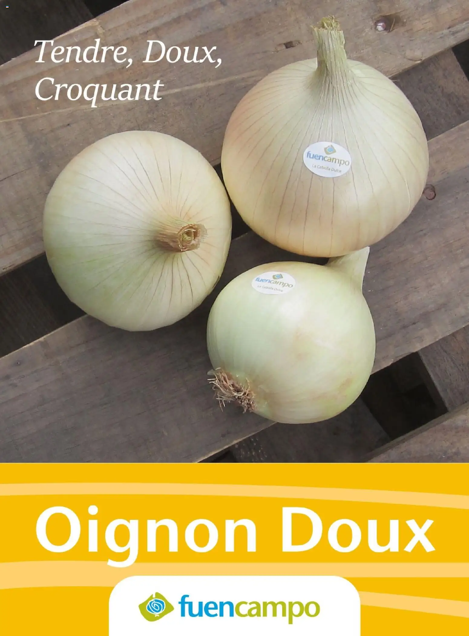 {H1} | Page: 133 | Produits: Oignon