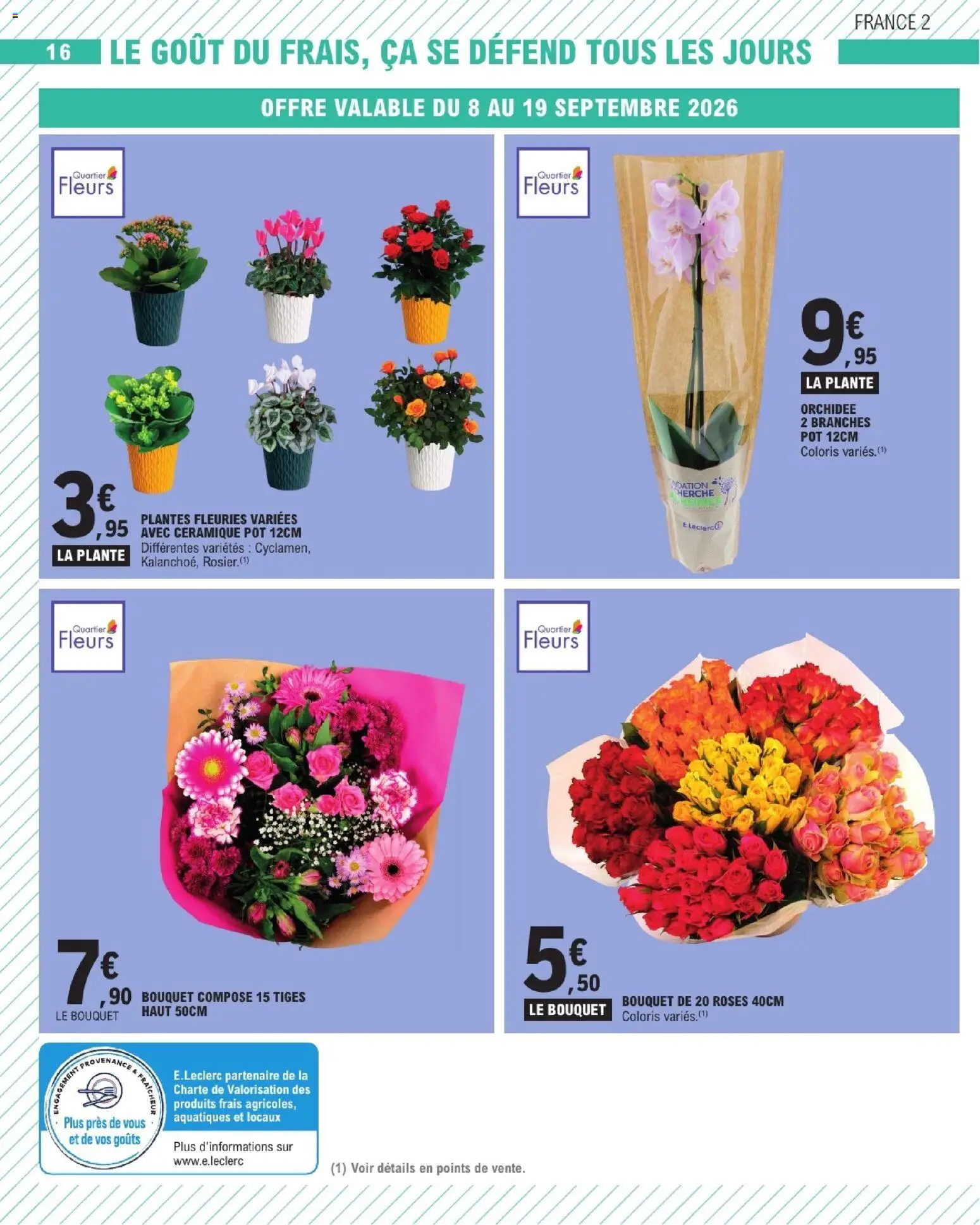 {H1} | Page: 16 | Produits: Plantes, Fleurs, Orchidée