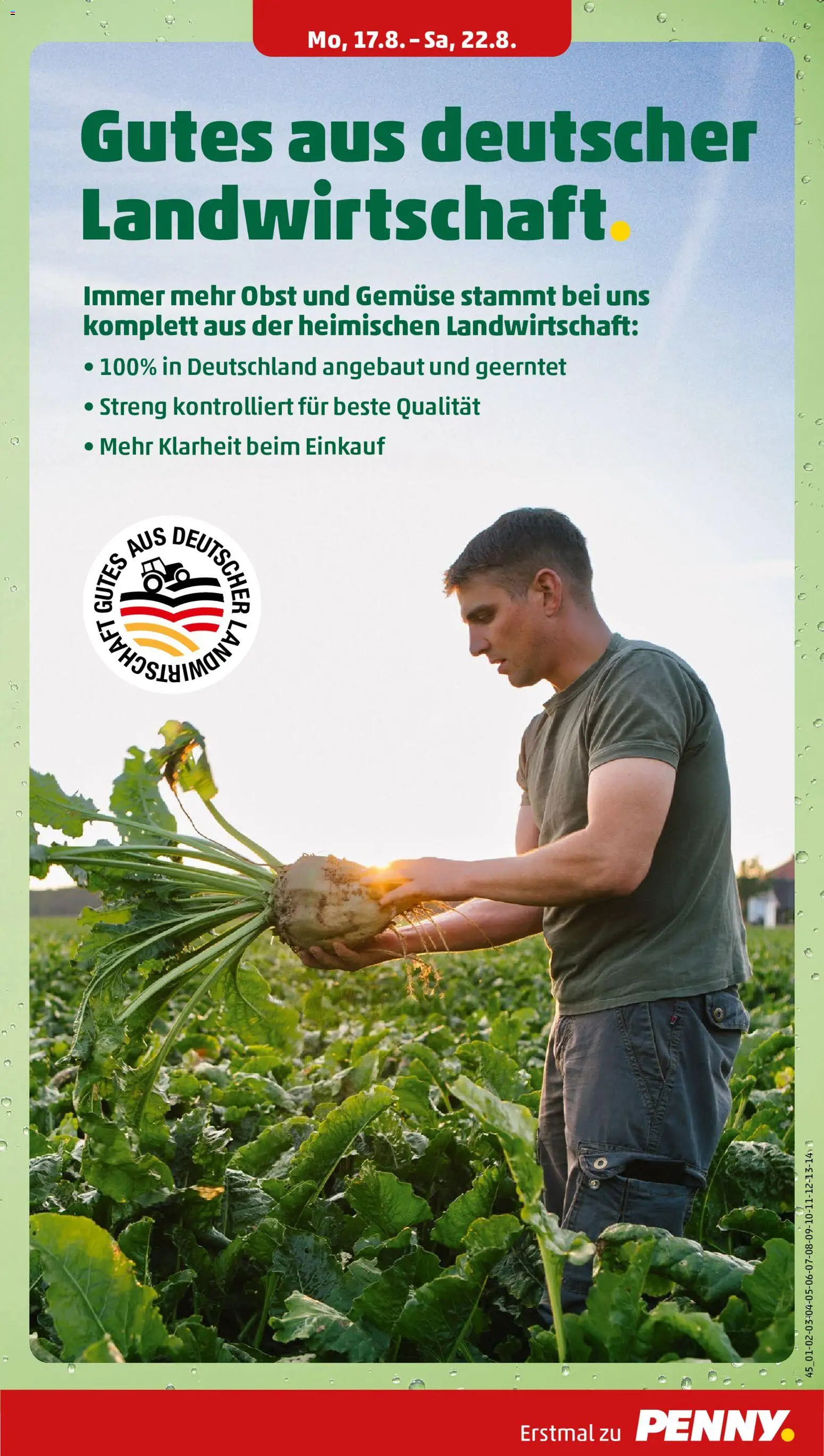 Penny Prospekt – gültig ab 17.08.2026 | Seite: 9 | Produkte: Gemüse, Obst