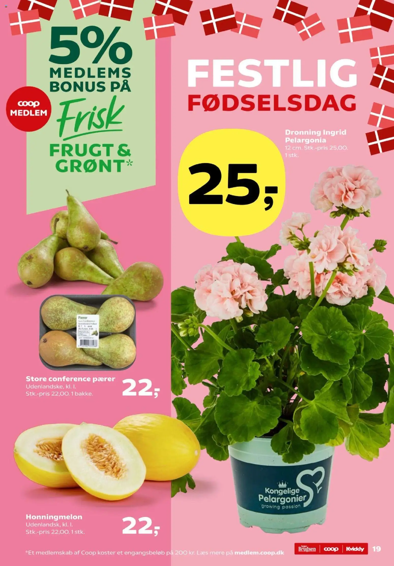 Kvickly tilbudsavis – gyldig fra 15.05.2026 | Side: 19