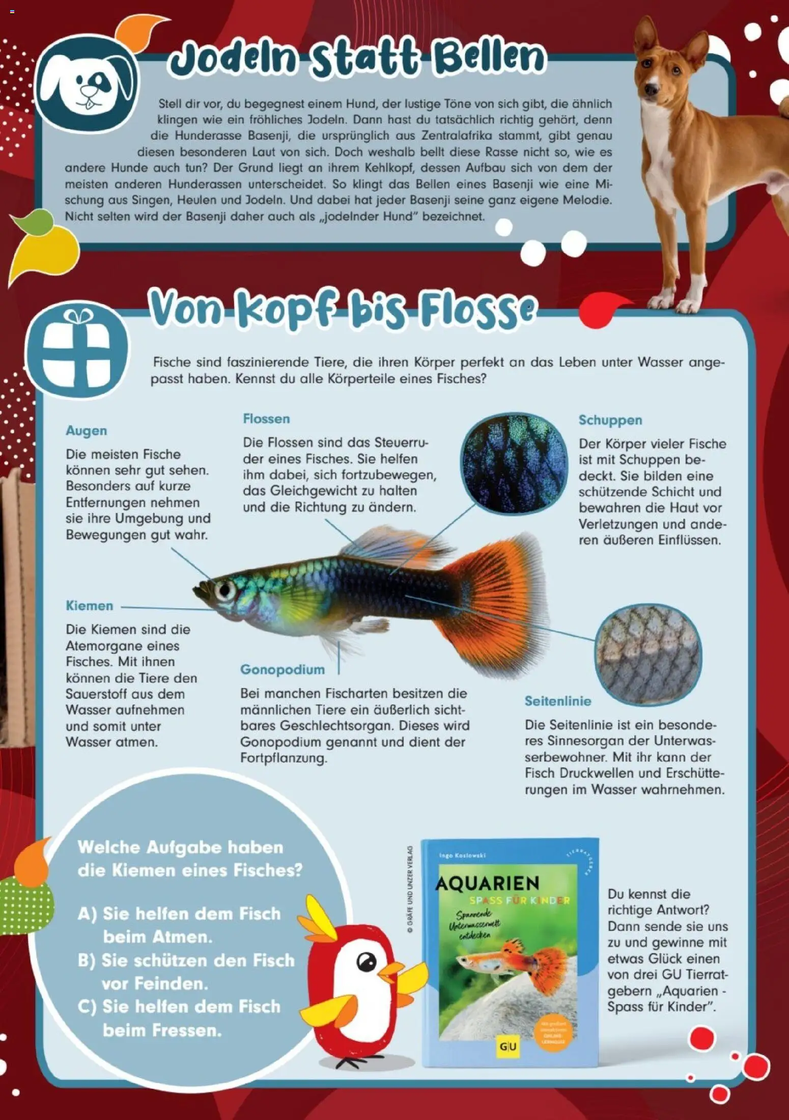 zookauf Kids – gültig ab 01.10.2026 | Seite: 3 | Produkte: Fisch, Wasser