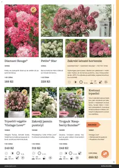 Náhled letáku Starkl katalog od 25.02.2026 | Strana: 11 | Produkty: Puk, Rostliny, Květy, Pes