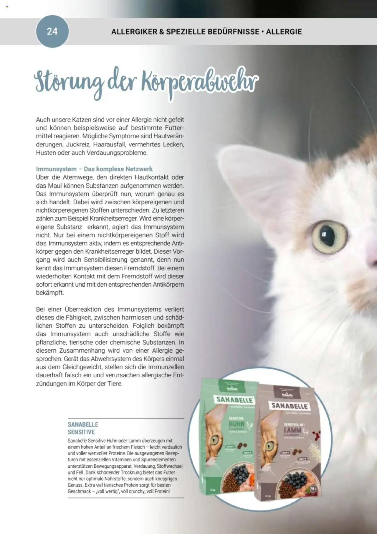 zookauf Themenkatalog Katze – gültig ab 01.10.2025 | Seite: 24 | Produkte: Bosch, Met, Fleisch