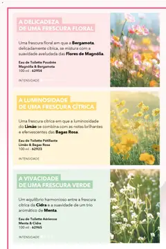 Pré-visualização Eau de Toilette Poudrée Magnólia & Bergamota, Uma frescura floral em que a Bergamota, delicadamente cítrica, se mistura com a suavidade aveludada das Flores de Magnólia. 100 ml - 62954 válido de 17.04.2026 | Página: 4
