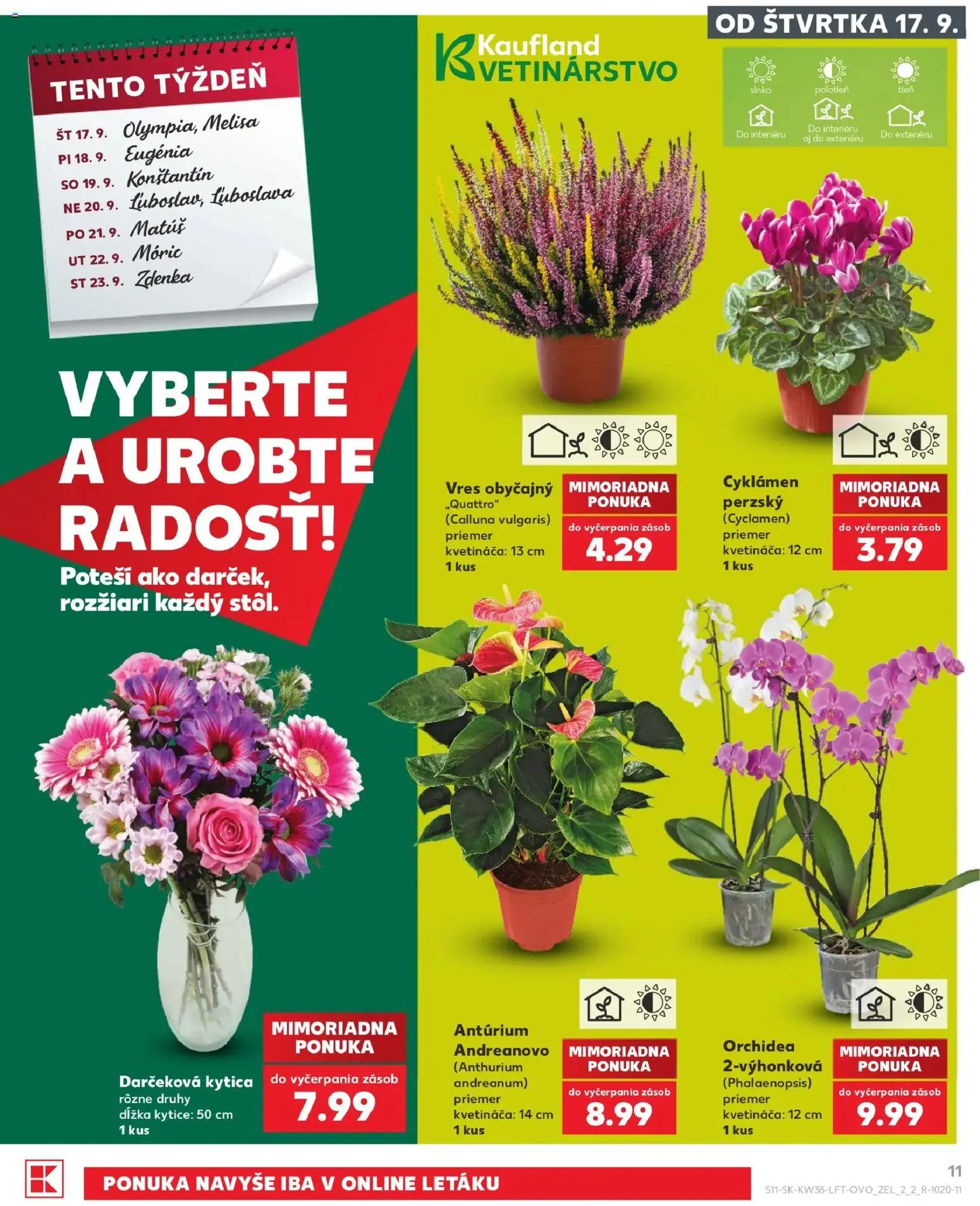 Kaufland SK akciós ujság - amely érvényes a következő dátumtól: 2026.09.17. | Oldal: 11