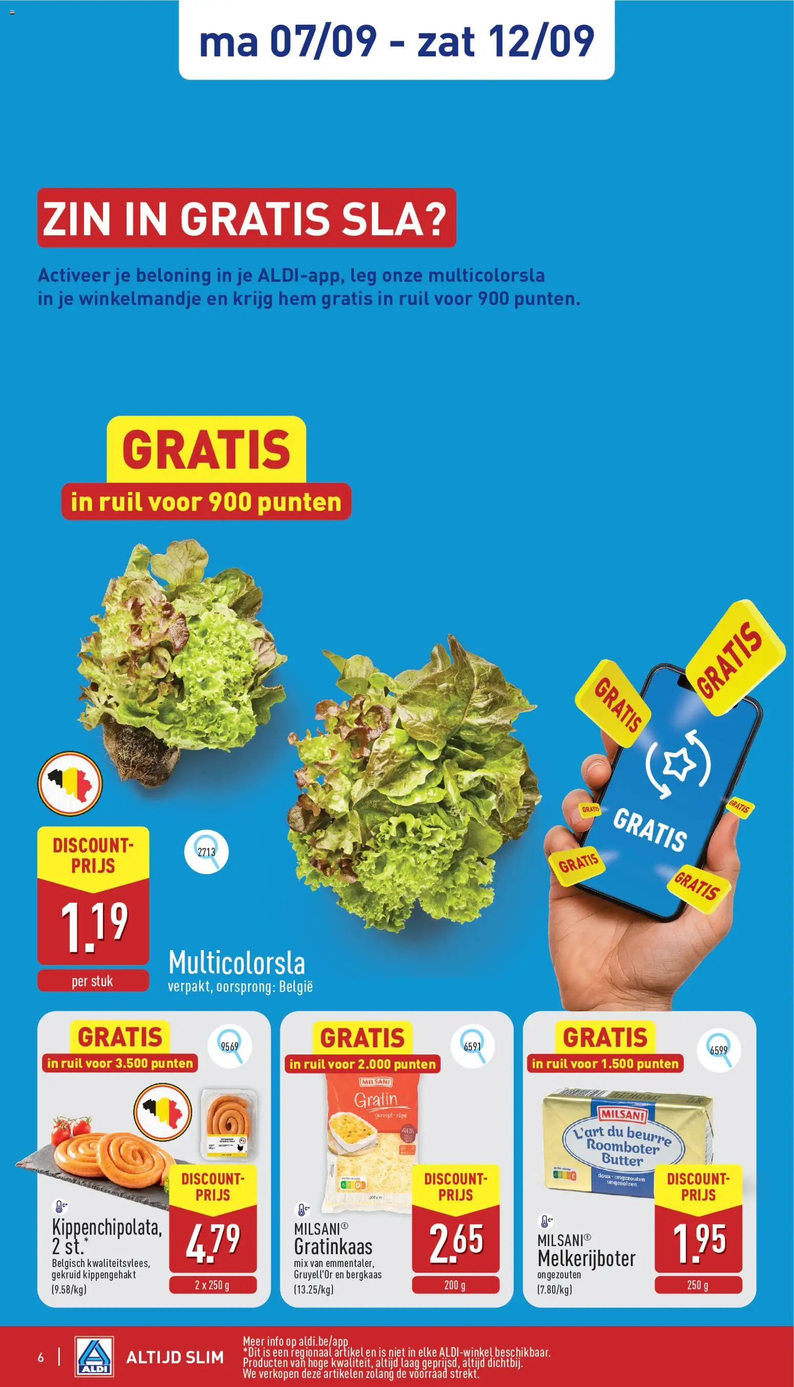 {H1} | Pagina: 6 | Producten: Roomboter, Kippengehakt, Sla, Kaas