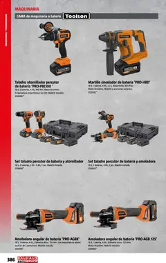 Vista previa Bauhaus ProService válido desde el 11.05.2026 | Página: 386 | Productos: Disco, Batería