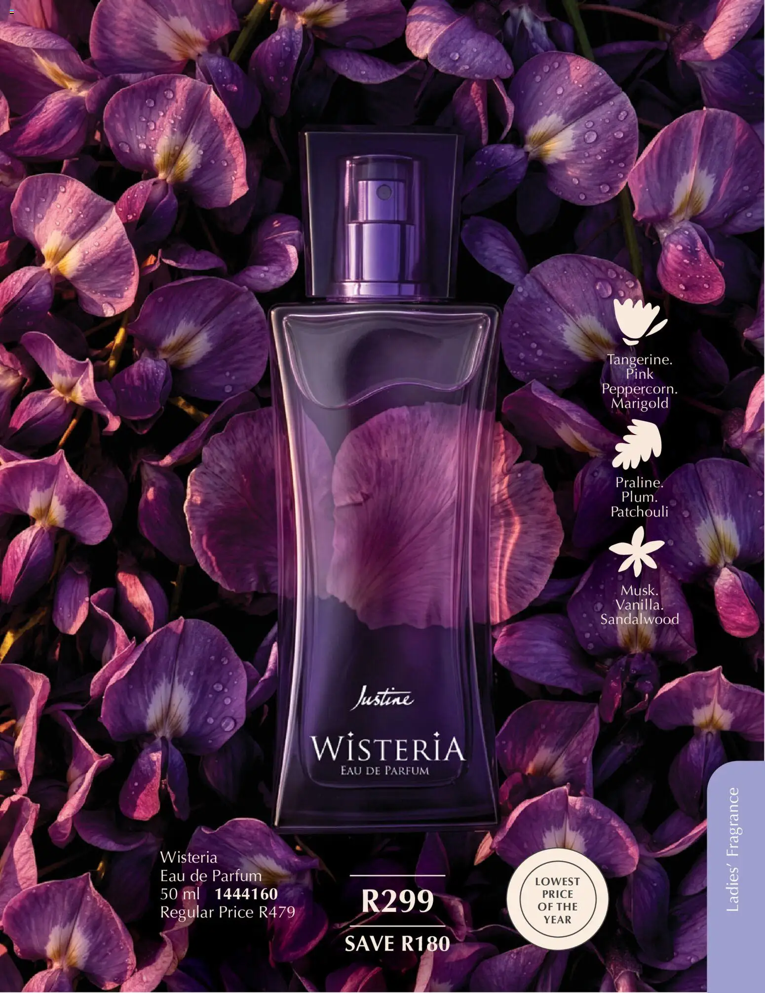New Justine catalogue – valid from 01/10/2026 | Page: 43