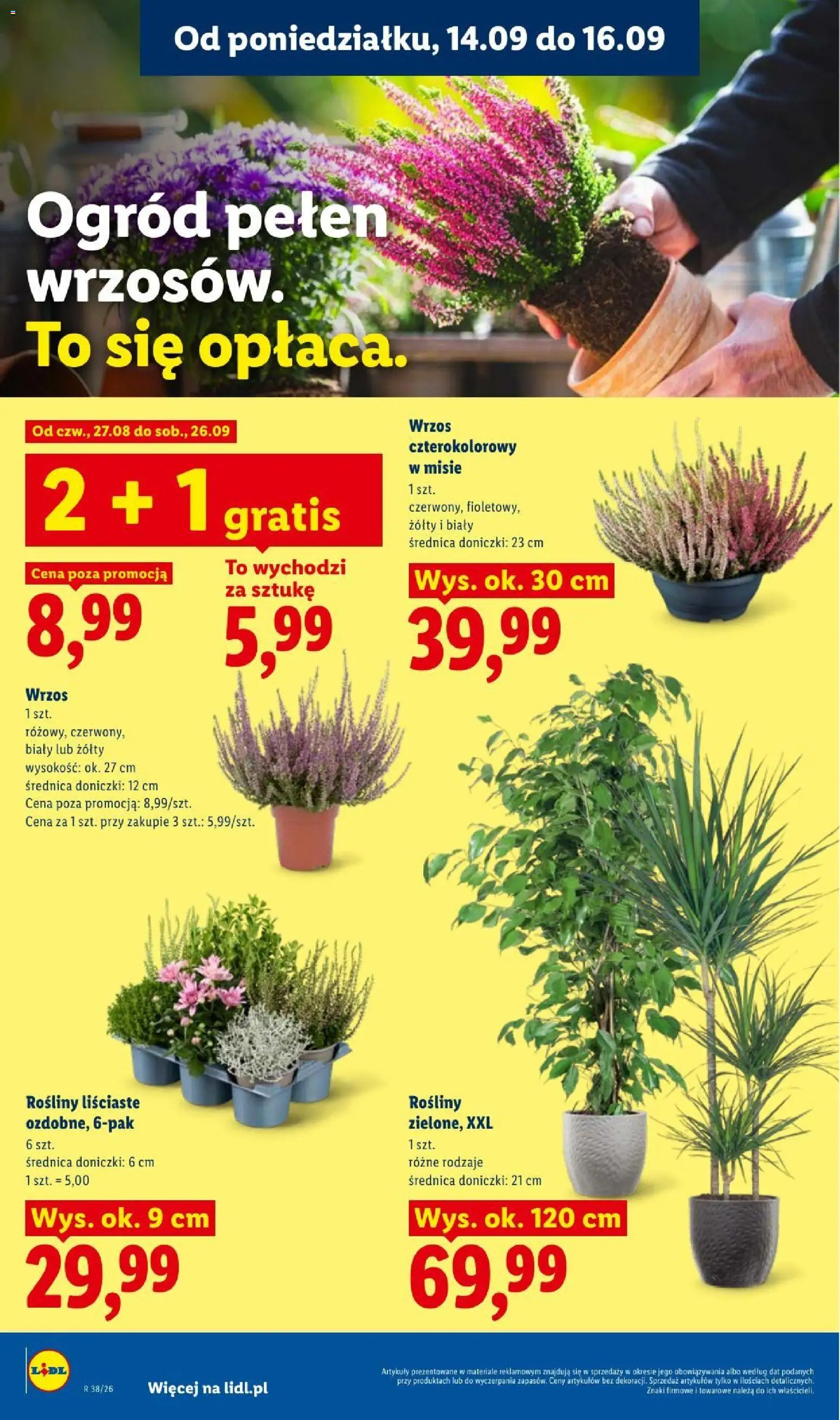 Lidl gazetka od 14.09.2026 | Strona: 78