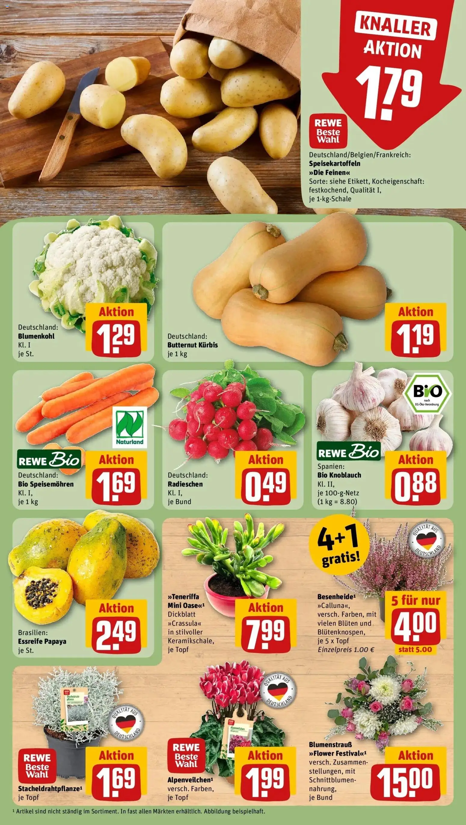 REWE Prospekt ab 05.10.2026 zum Blättern » Angebote | Seite: 9 | Produkte: Knoblauch, Kürbis, Blumenkohl