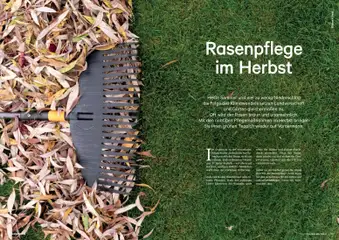 Lagerhaus Fürs Leben am Land Herbst 2026 ab 01.08.2026 gültig | Seite: 7 | Produkte: Teppich
